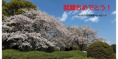 百年公園満開の桜