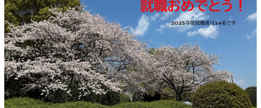百年公園満開の桜